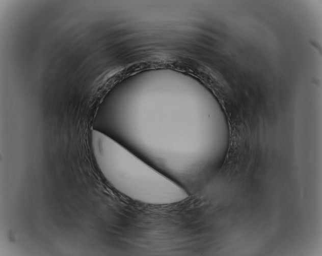 X0000097790773200803070934