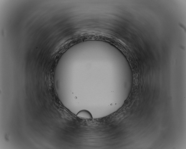 X0000097790774200803070934
