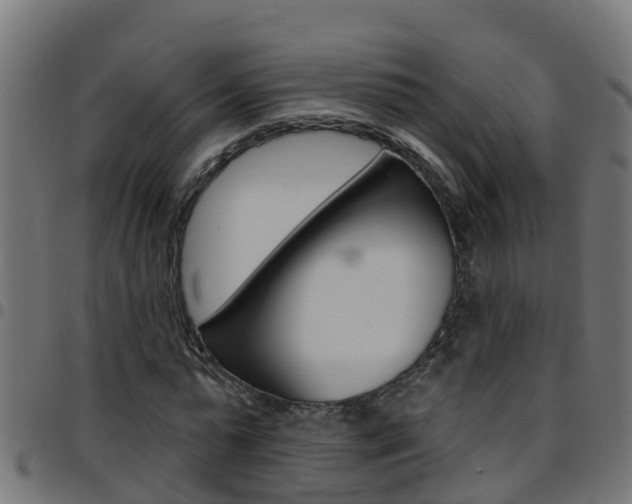 X0000097790775200803070934