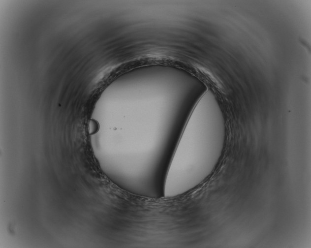 X0000097790776200803070934