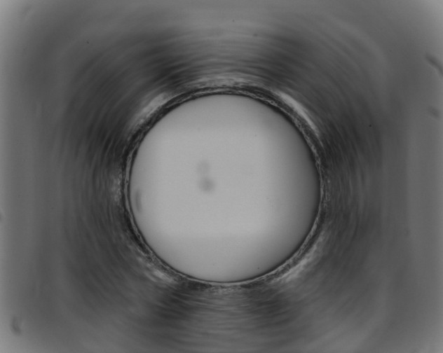 X0000097790778200803070934