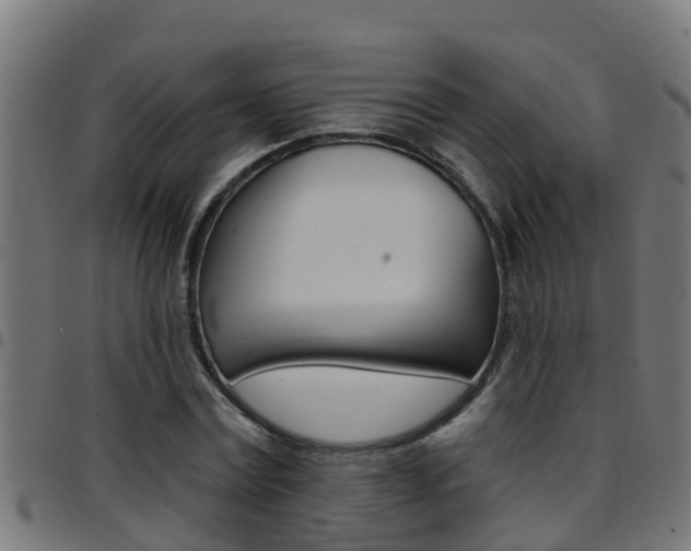 X0000097790779200803070934