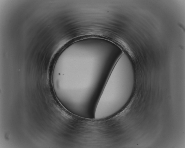 X0000097790780200803070934