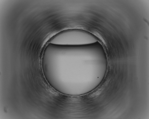 X0000097790781200803070934