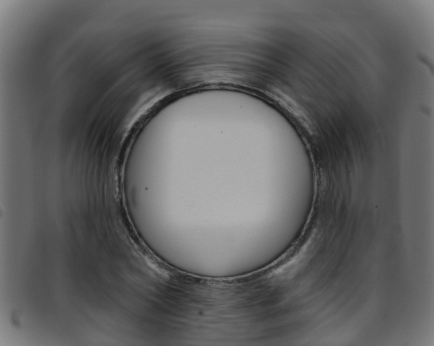 X0000097790782200803070934