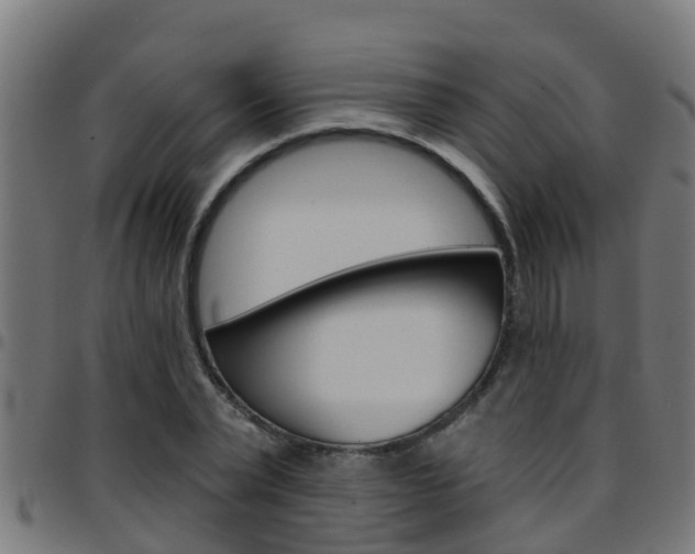X0000097790783200803070934