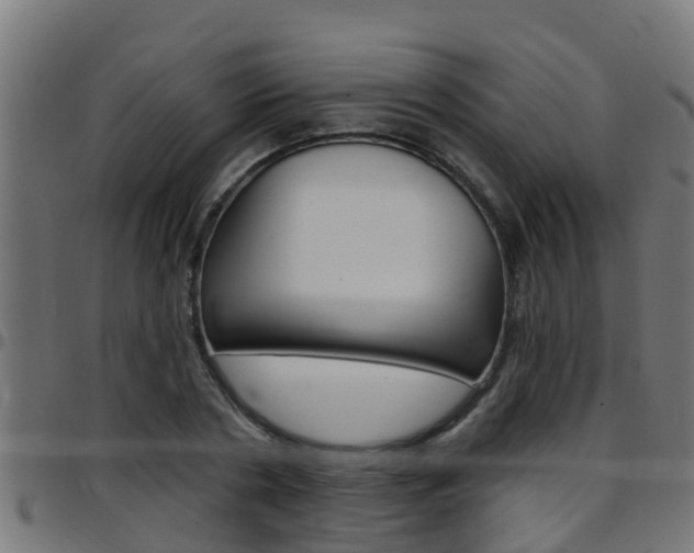 X0000097790786200803070934