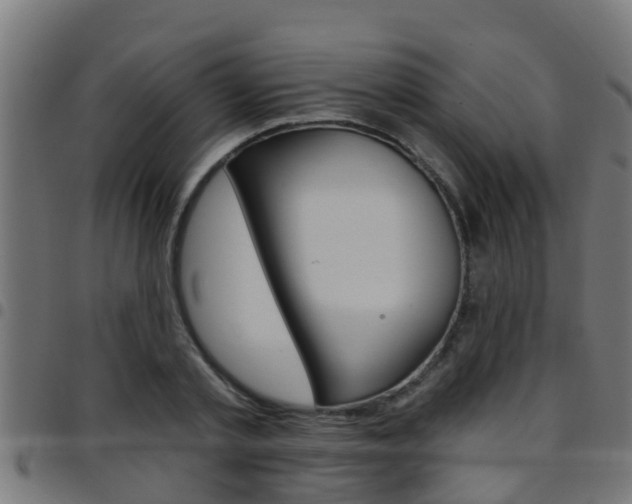 X0000097790789200803070934