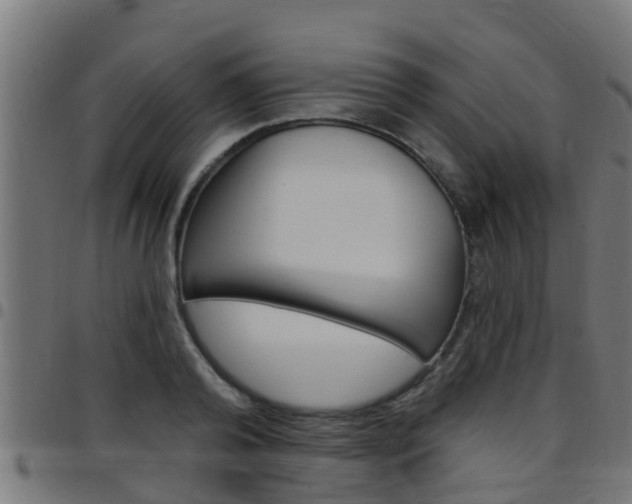 X0000097790792200803070934