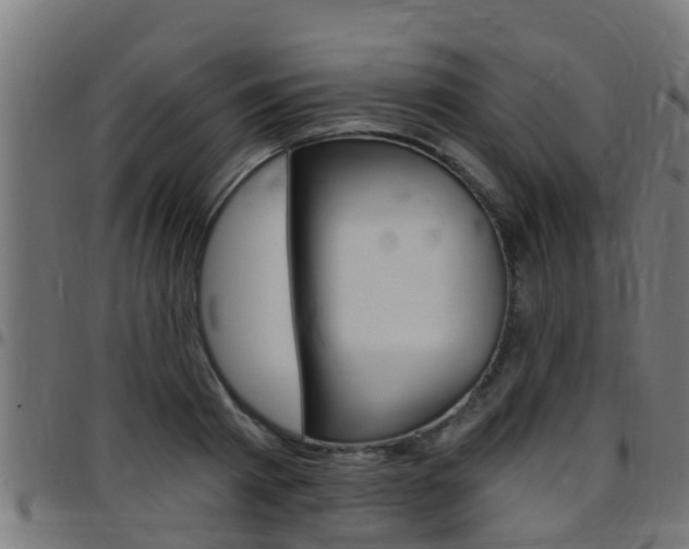 X0000097790793200803070934