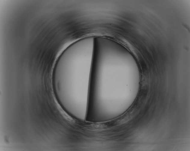 X0000097790795200803070934