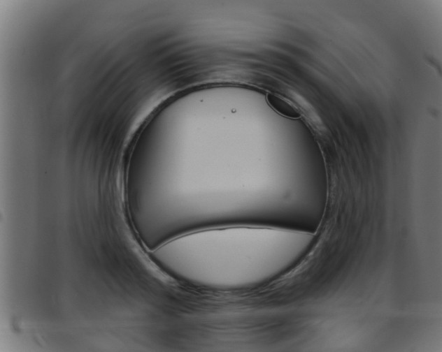 X0000097790796200803070934