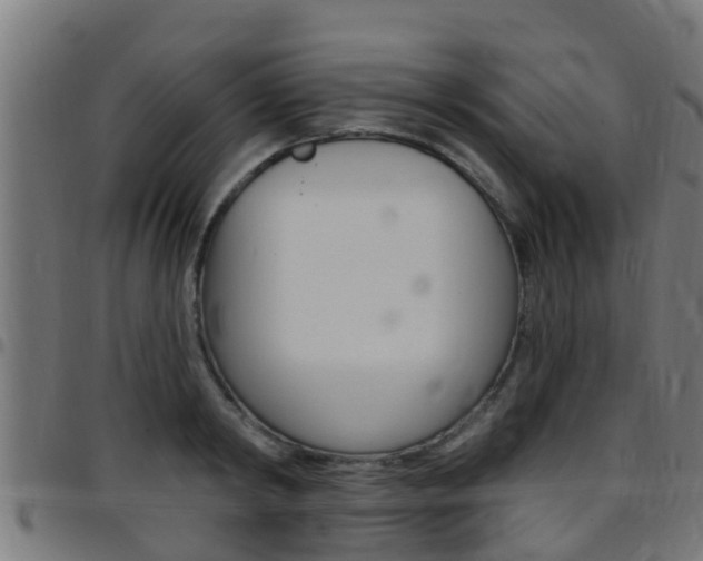 X0000097790798200803070934