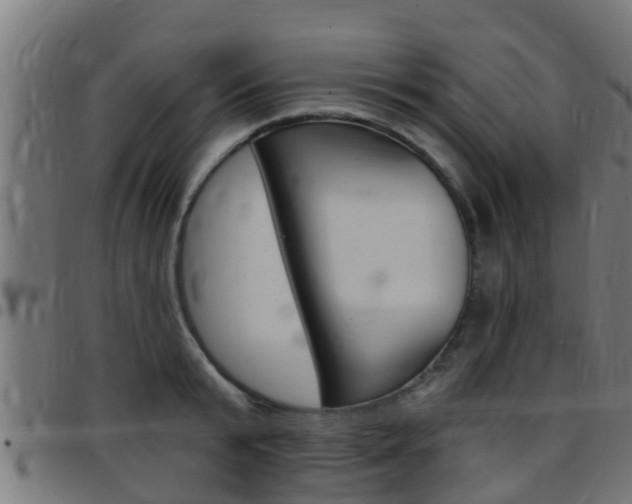 X0000097790799200803070934