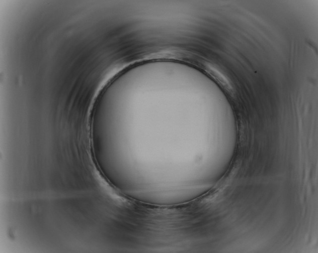 X0000097790800200803070934