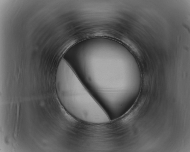X0000097790801200803070934