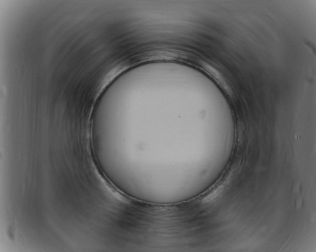 X0000097790802200803070934