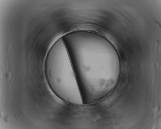 X0000097790803200803070934