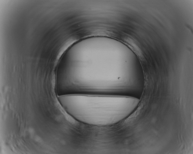X0000097790804200803070934