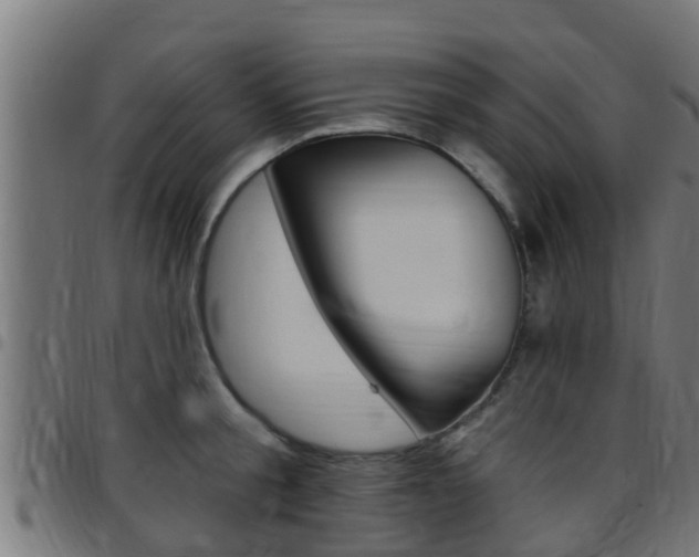 X0000097790805200803070934
