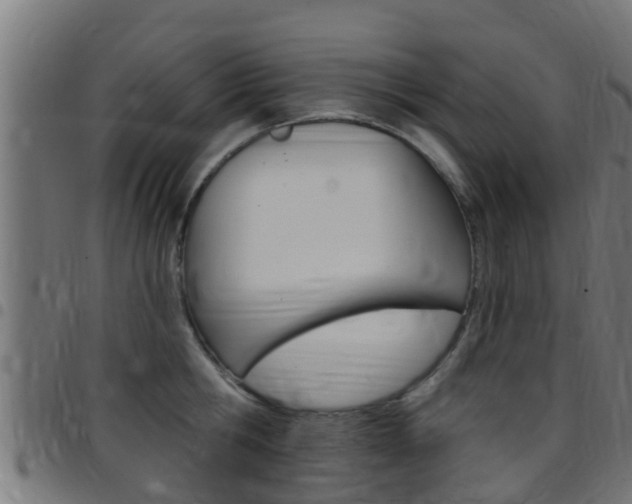 X0000097790806200803070934