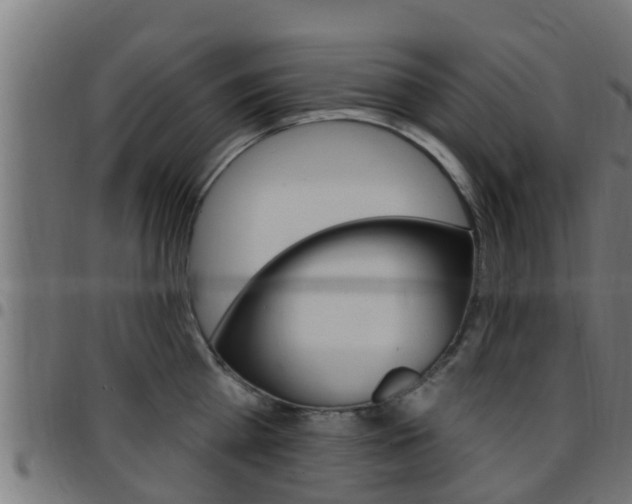 X0000097790809200803070934