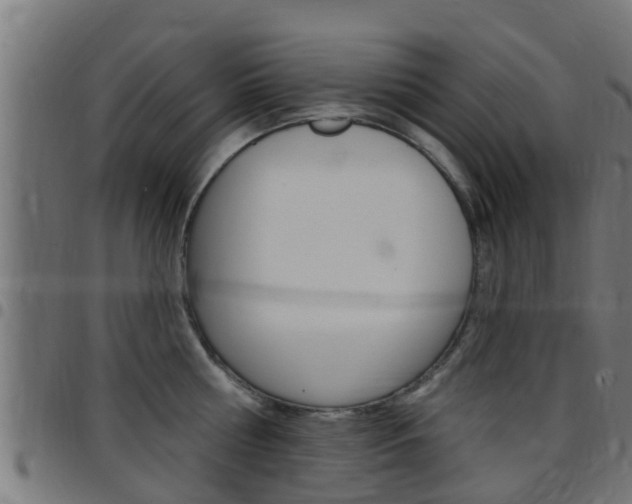 X0000097790810200803070934