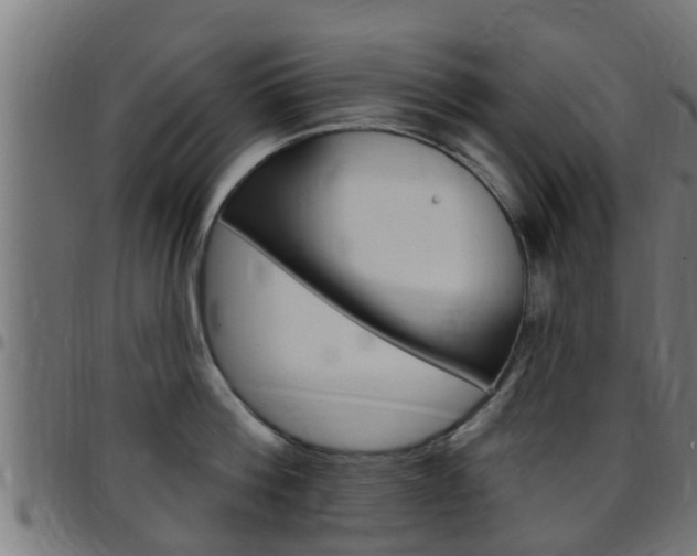 X0000097790812200803070934