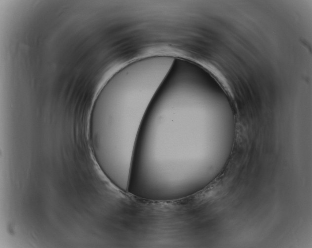 X0000097790815200803070934