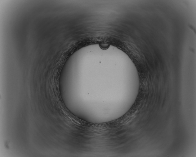 X0000097790817200803070933