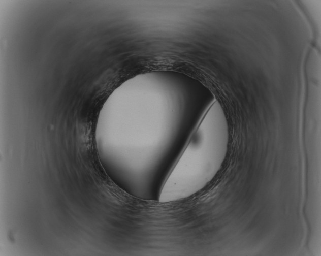 X0000097790818200803070933
