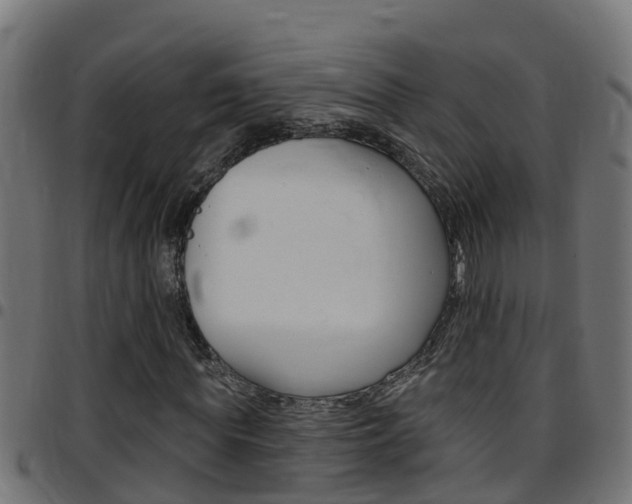 X0000097790819200803070933