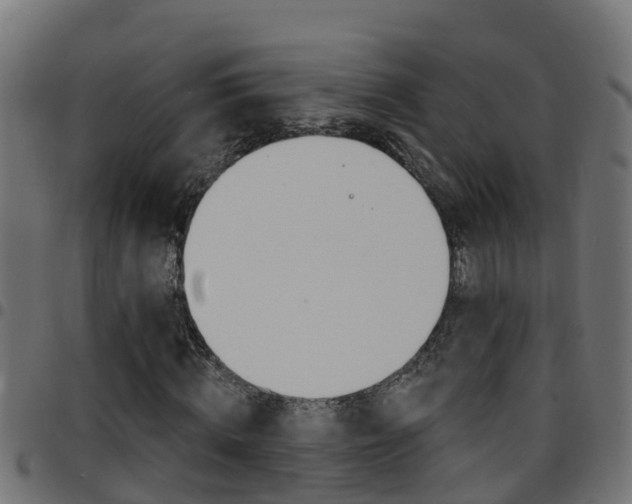 X0000097790820200803070933