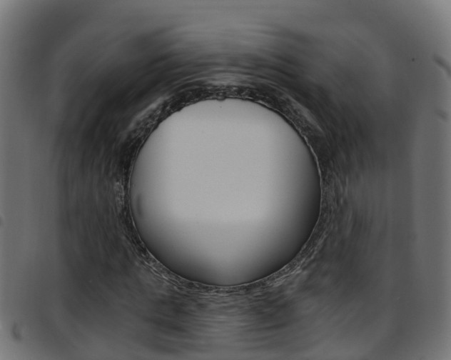 X0000097790821200803070933