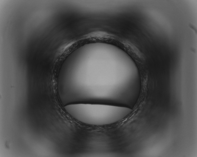 X0000097790822200803070933