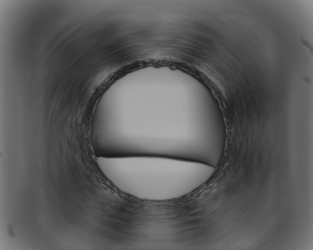 X0000097790823200803070933