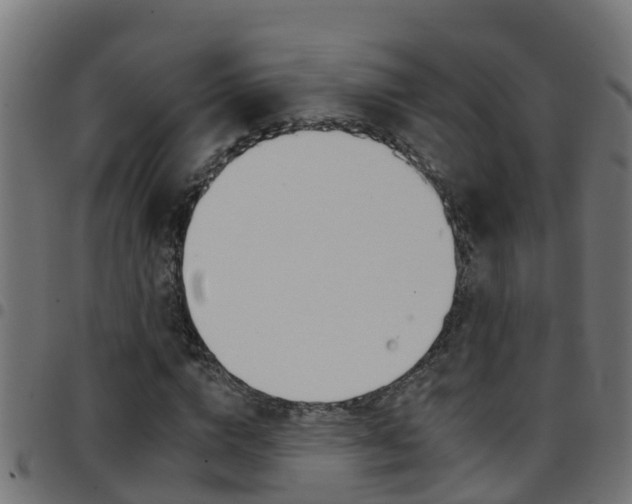 X0000097790824200803070933
