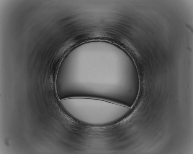 X0000097790825200803070933