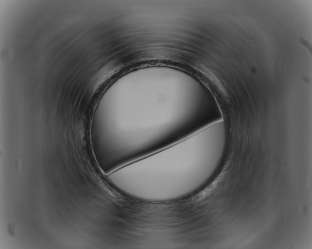 X0000097790826200803070933