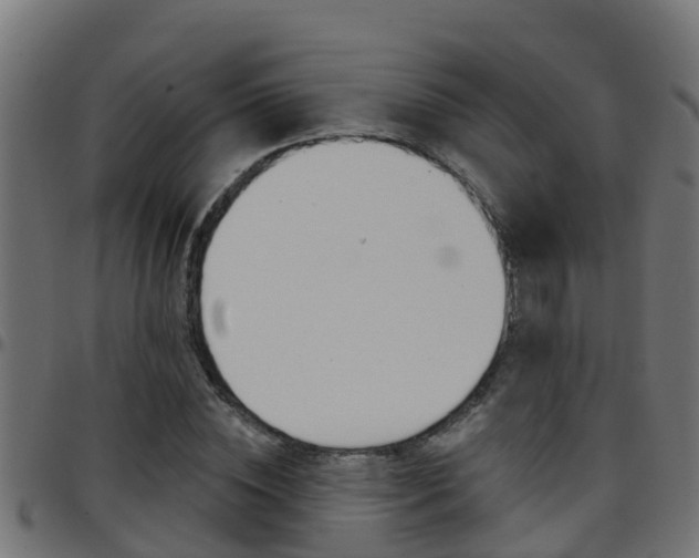 X0000097790828200803070933