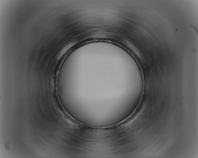 X0000097790829200803070933