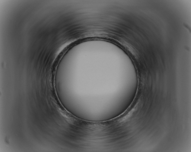 X0000097790830200803070933