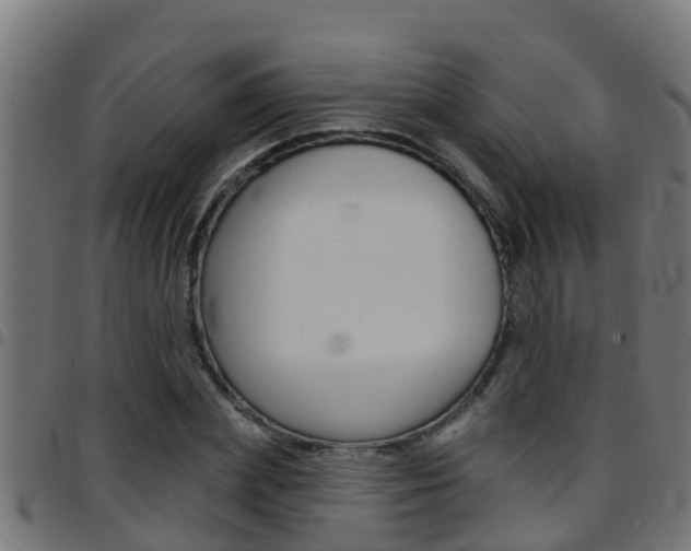 X0000097790831200803070933