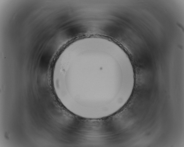 X0000097790832200803070933