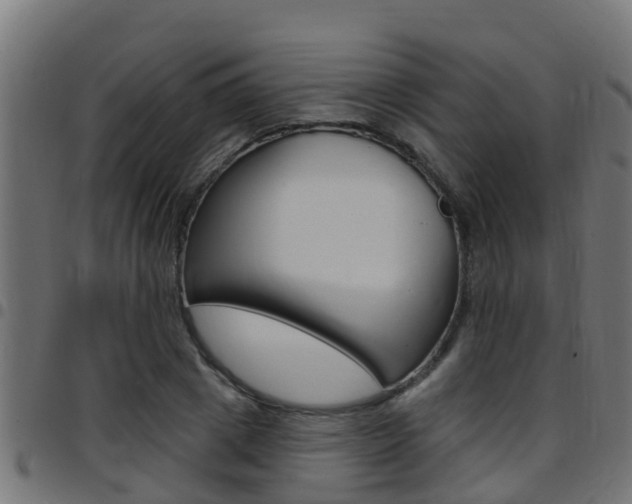 X0000097790833200803070933