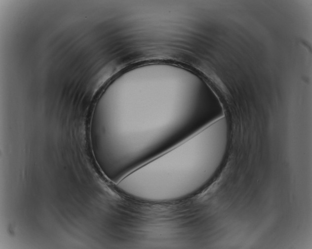 X0000097790834200803070933
