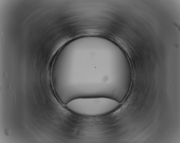 X0000097790835200803070933