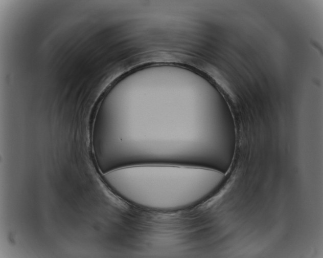 X0000097790837200803070933