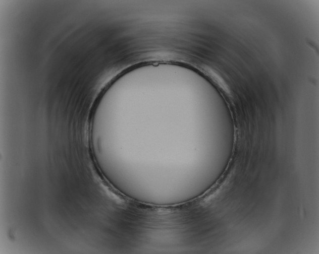 X0000097790839200803070933