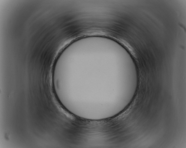X0000097790840200803070933